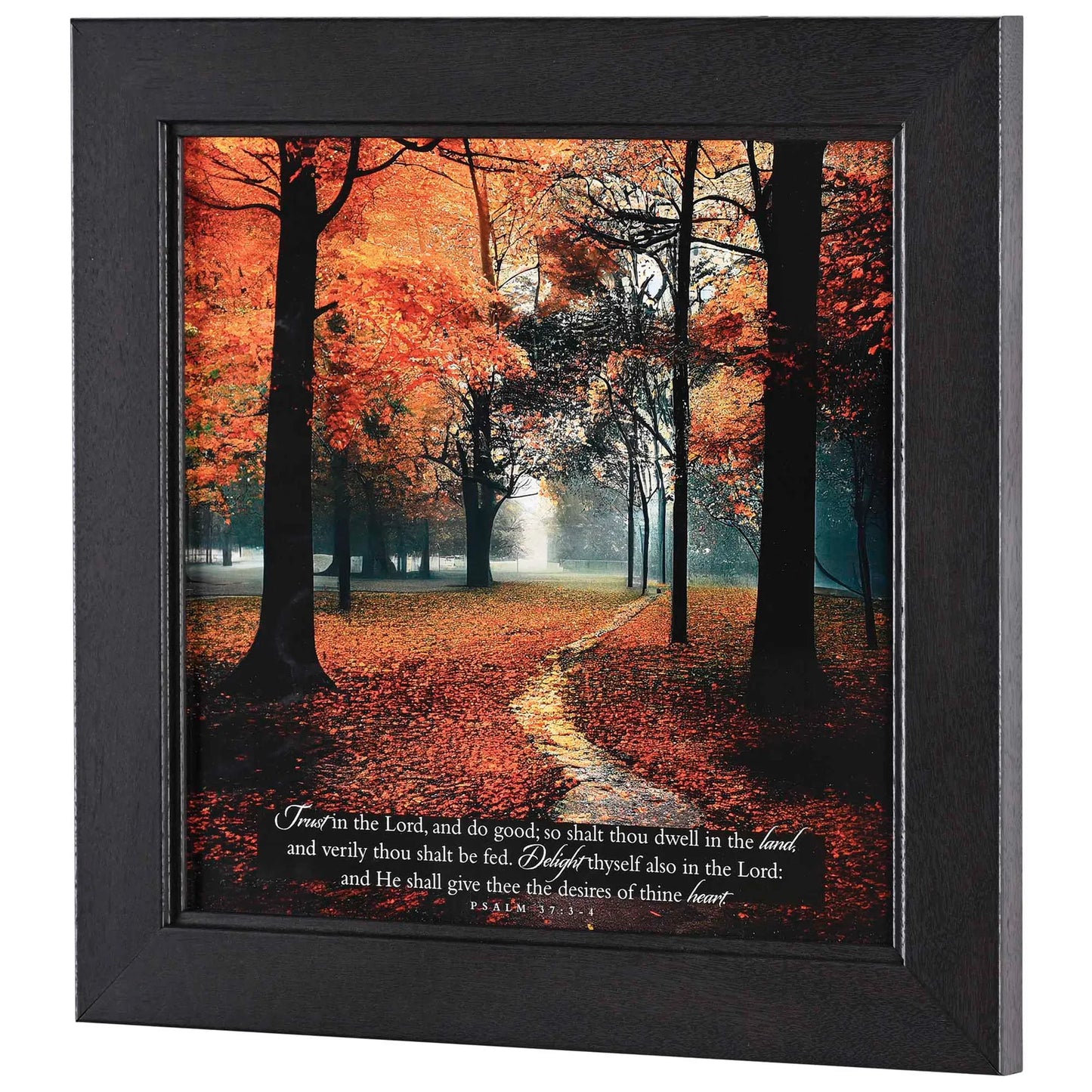 Trust In The Lord Framed Wall Art - 12x12