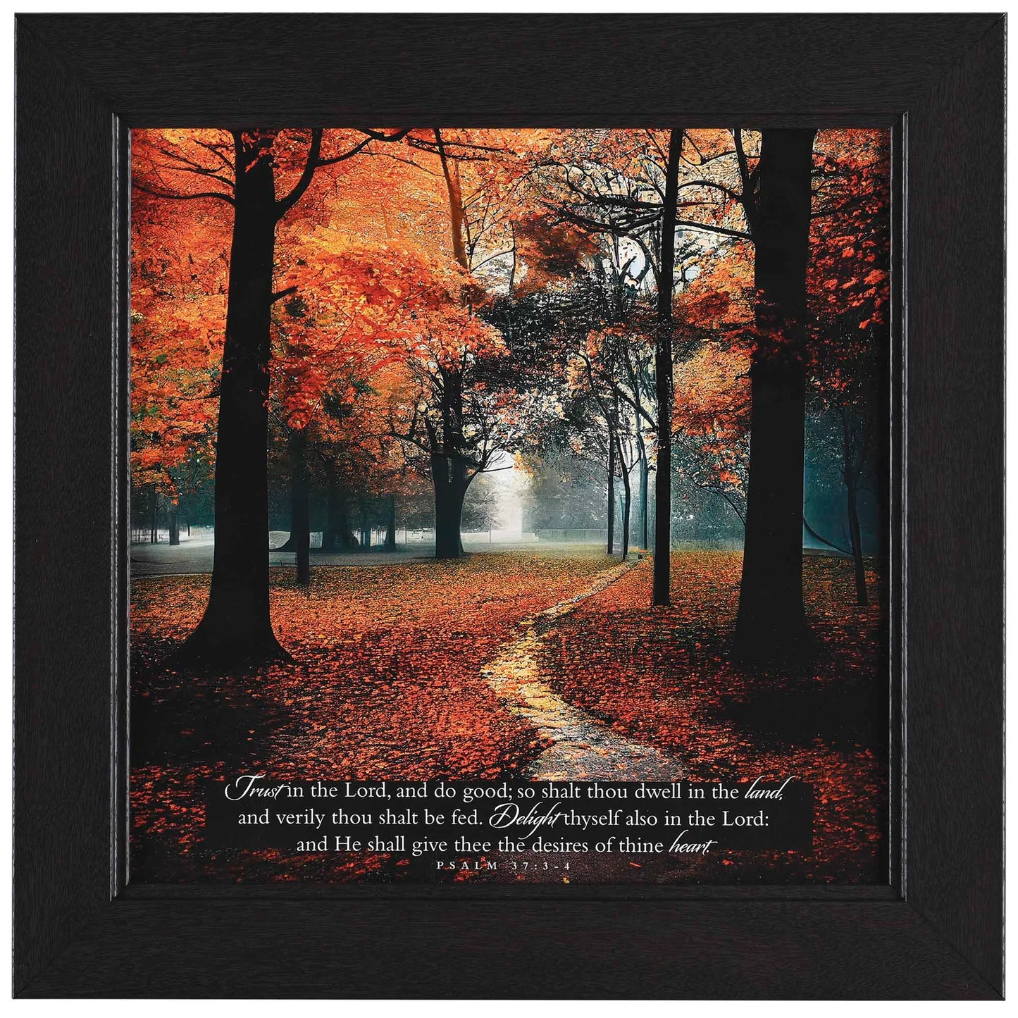 Trust In The Lord Framed Wall Art - 12x12