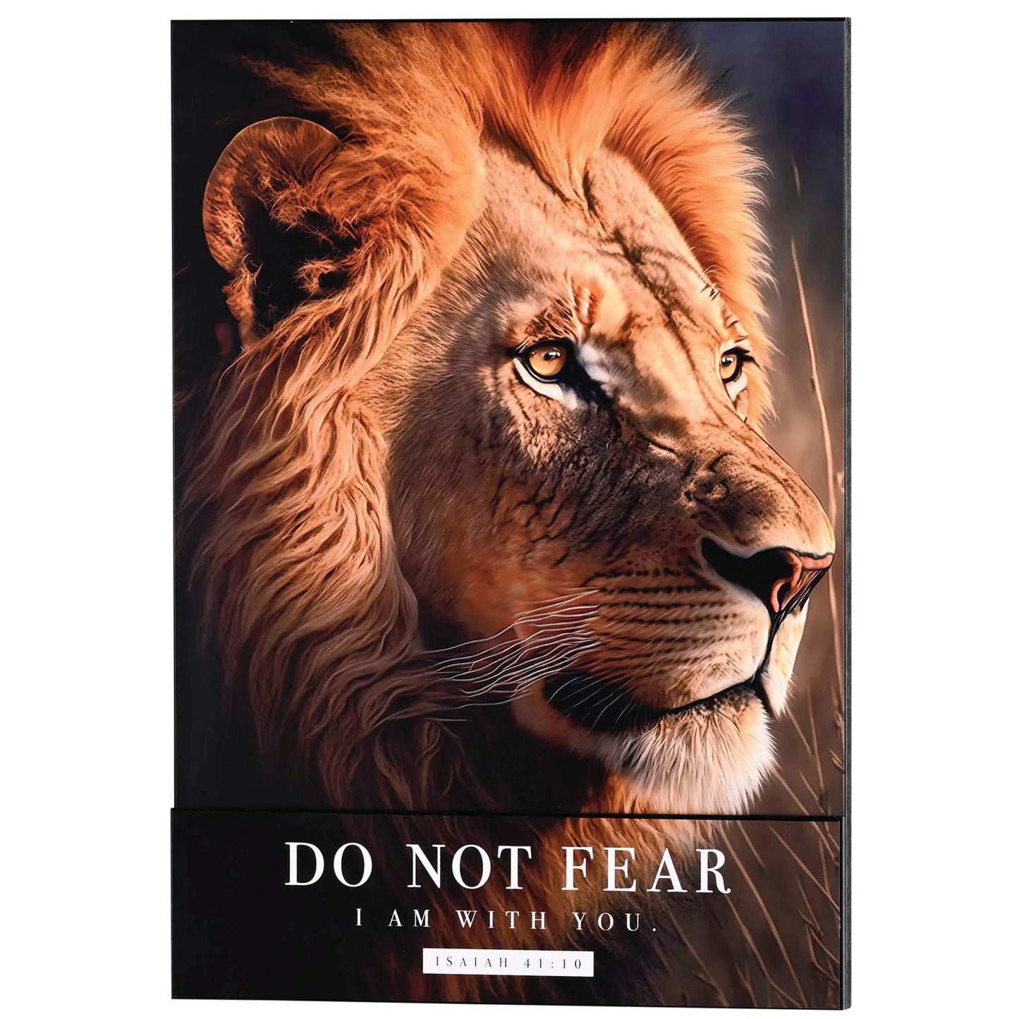 Regal Lion Do Not Fear Stacked Wall Plaque